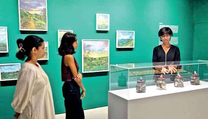 MMCA Sri Lanka trains young museum professionals