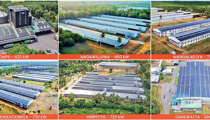 Hayleys Solar delivers 4,036 kW installations across six locations for Pussalla Meat Producers