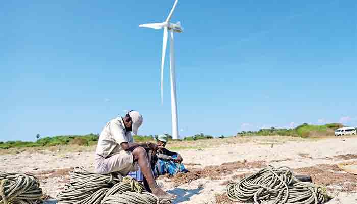 FCEJ stands in support of the birds, the land and the people of Mannar