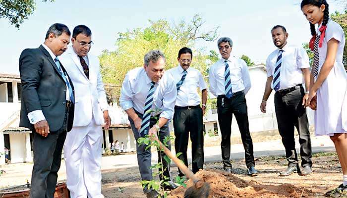 Wesley College celebrates  150 years by planting 150 trees
