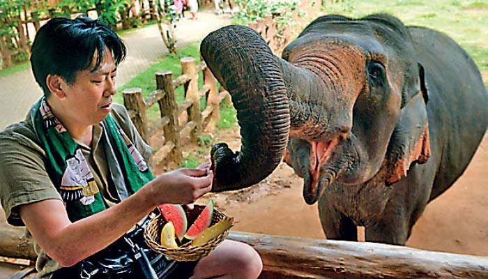 Winter booking window at risk as SL Tourism pushes interim marketing drive to Sept.