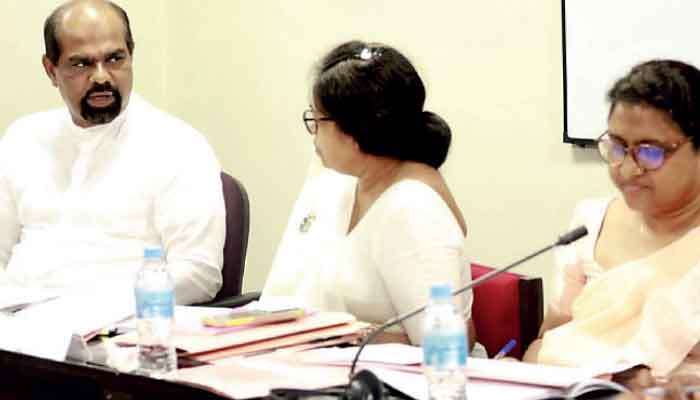 Interim report on public service salary structure to enhance professionalism 