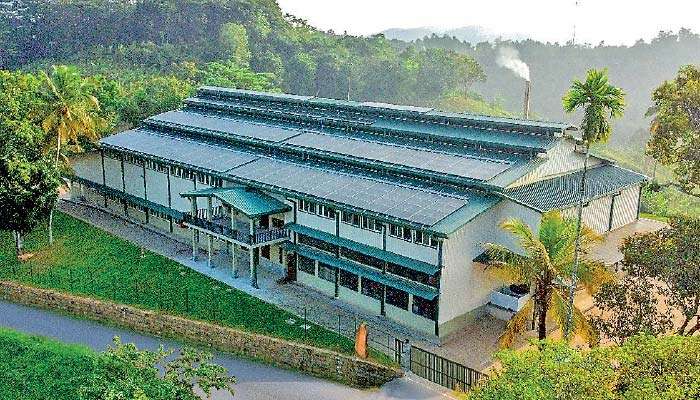TTE’s Kiruwanaganga Tea Factory certified as Sri Lanka’s first plantation sector Green Building