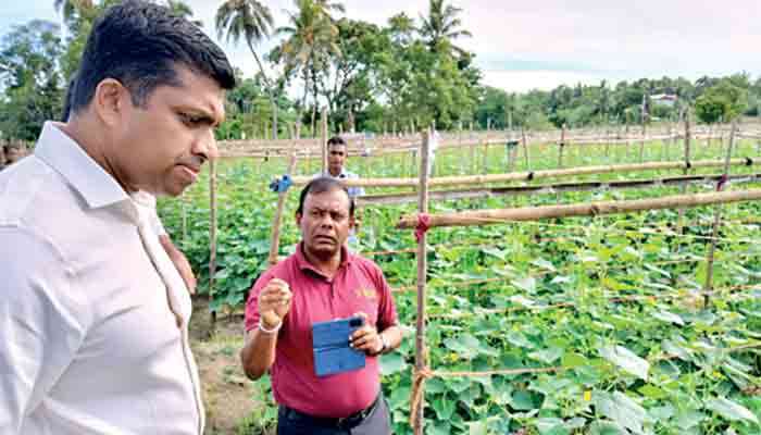 Hayleys Agriculture launches OMNIX Digital System to  transform farmer engagement and modernise agriculture practices