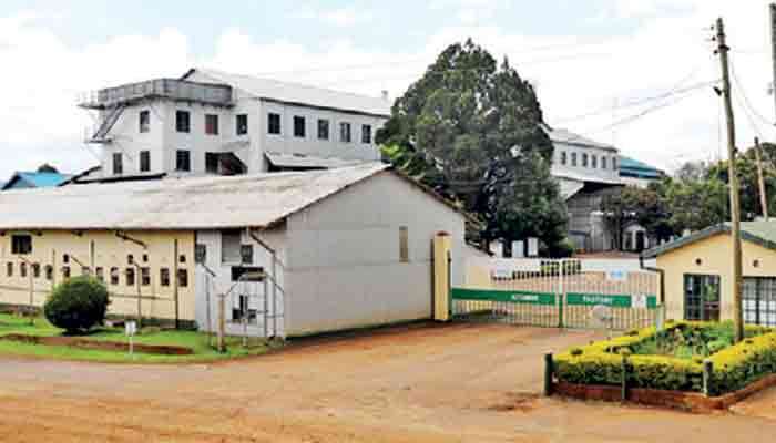 Browns Plantations accelerates orthodox tea production expansion in East Africa