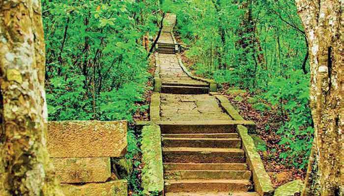 Govt. to gazette five forests as reserves