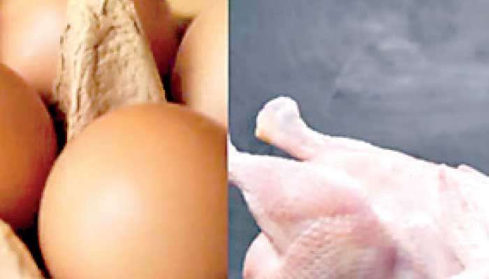 Govt. to stop imports of egg and chicken from next year