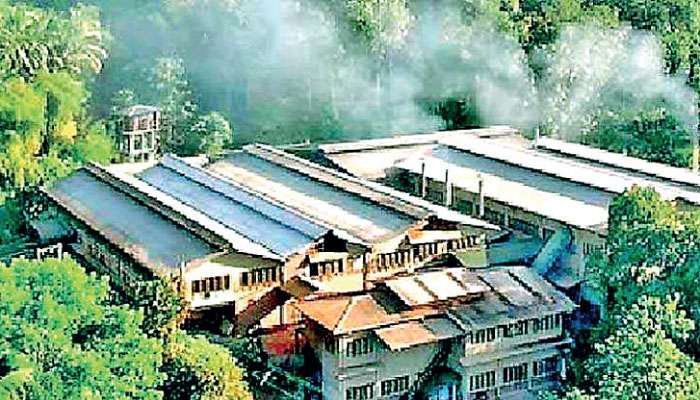 Ceciliyan Tea Factory achieves all time high price