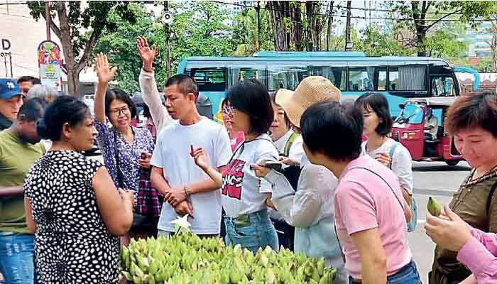 Tourism revenue sees moderate growth in May