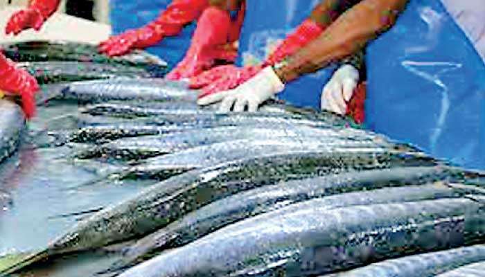 Seafood exporters say new US tariff still leaves Sri Lanka uncompetitive