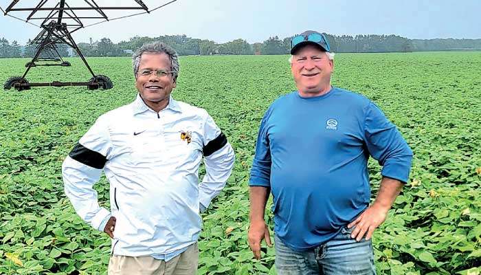 US tariffs vs. Chinese supremacy: Can US soybean “Make America Great Again?”