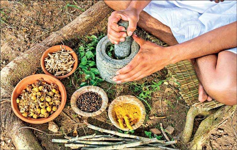 Economic revival, Ayurveda and indigenous medicine | Daily FT