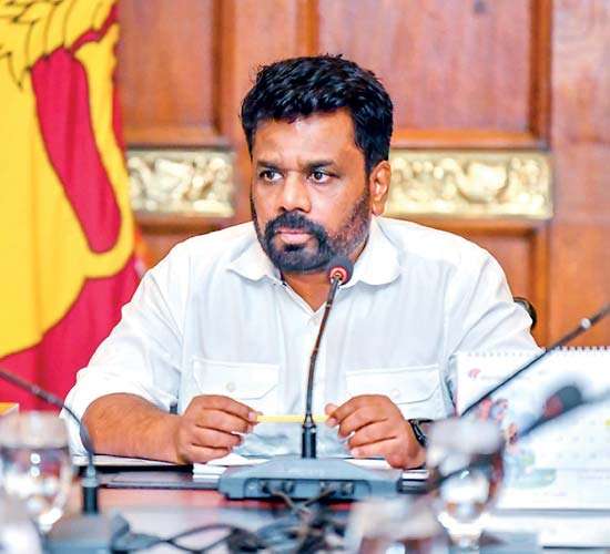 Govt. projects sharp primary surplus decline, reaffirms reform agenda