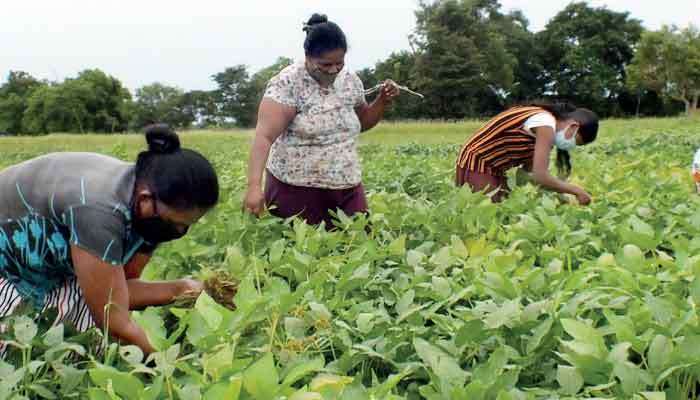 Multi-dimensional approach to lift status of rural sector: Praja Shakthi program in context