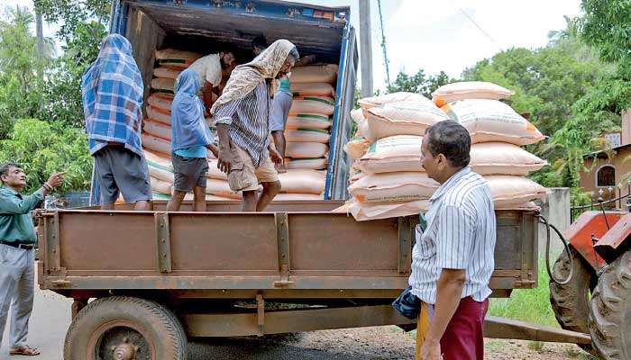 FAO delivers fertiliser support to cyclone-affected paddy farmers in Anuradhapura