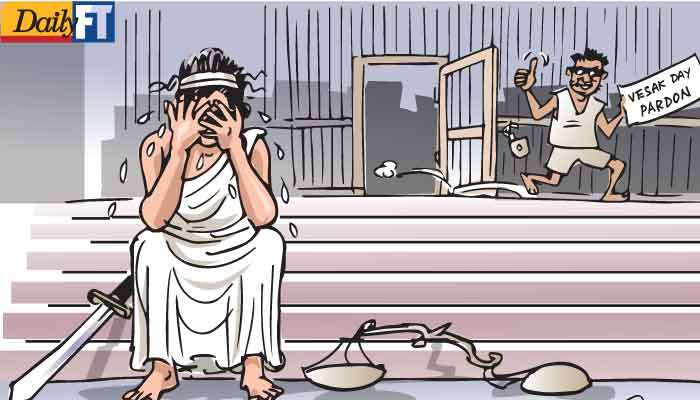 Cartoon 08.06.2025