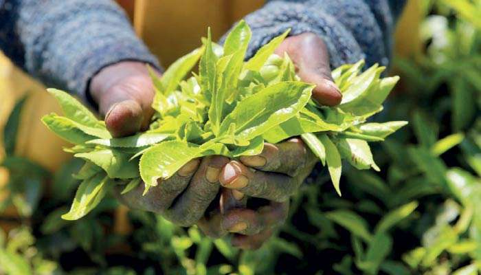 Exporting in new era: ESG reporting as strategic enabler for global market entry