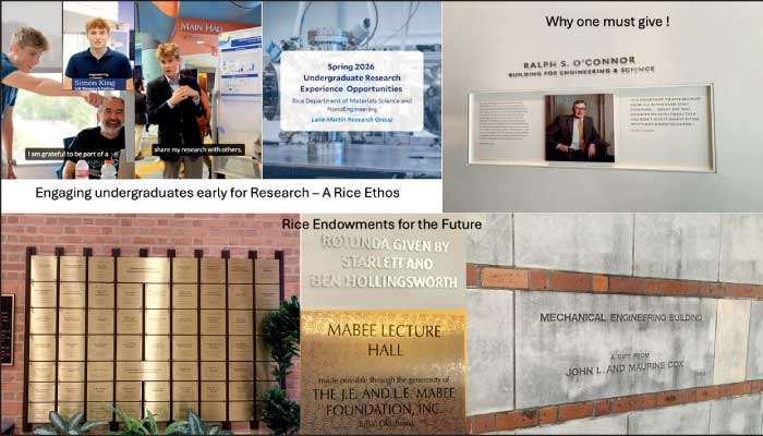 An oasis for learning, discovery and innovation – Rice is sure to rise