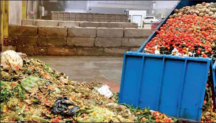 Think global, act local: South Asia’s moment to transform food loss into opportunity