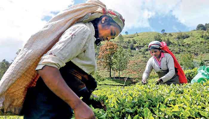 Govt: from an arrogant incompetence  to a quite charming amateurishness?