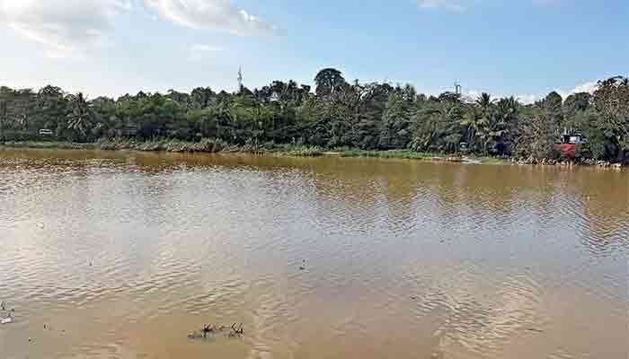 Rebuilding businesses after Cyclone Ditwah