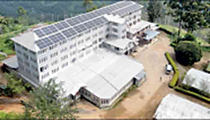 Uva Highlands Estate achieves all-time record price of Rs. 3,700 per kg for BOP Grade