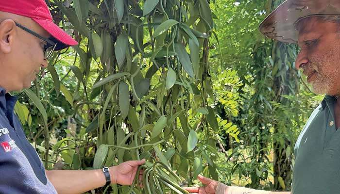 Mount Lavinia Hotel partners Forest Garden Organics  to launch pioneering  ‘Organic Poya Vegan Lunch Buffet’