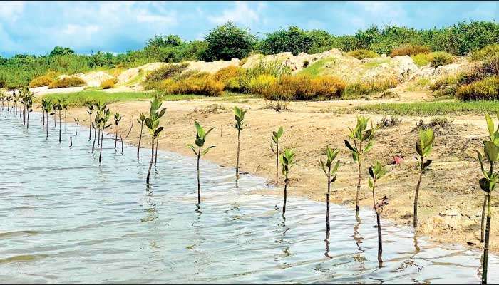 Dilmah strengthens Sri Lanka’s water and ocean stewardship