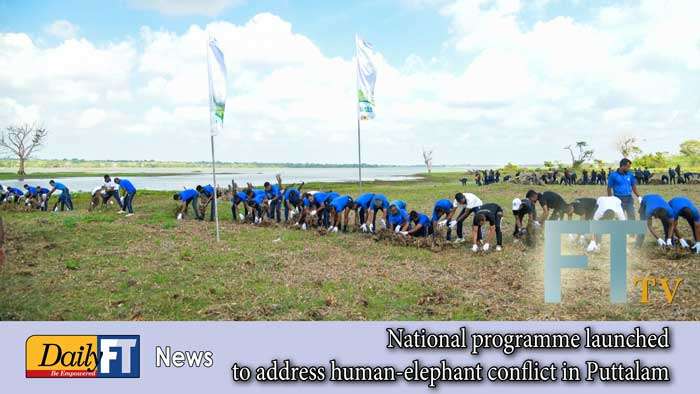 National programme launched to address human-elephant conflict in Puttalam