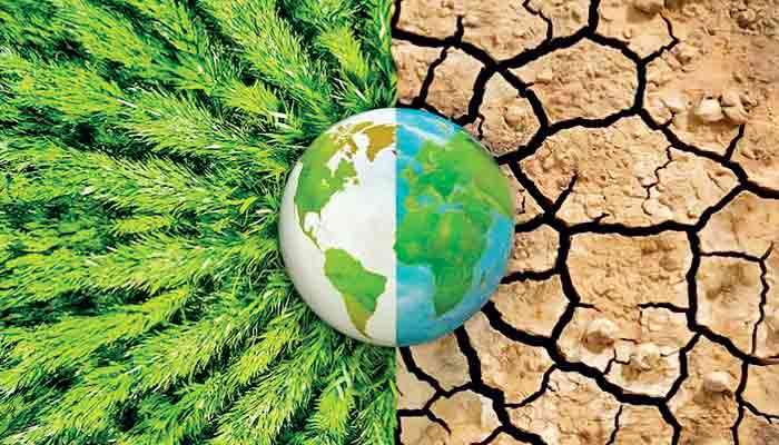 Surviving and thriving: How Sri Lankan businesses face climate crisis