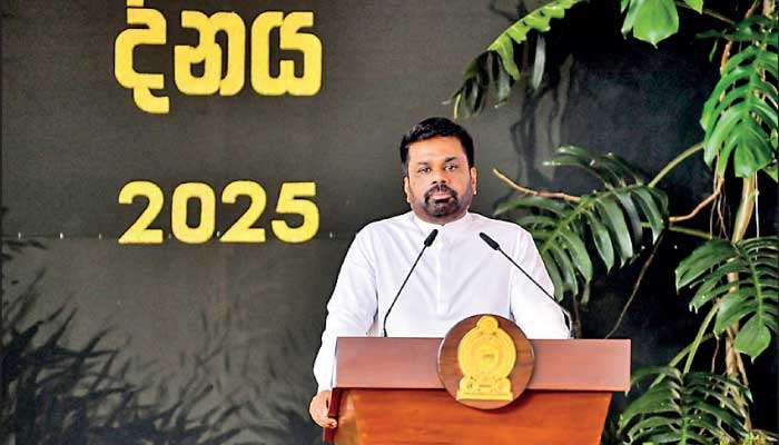 President calls for end to political patronage in environmental destruction
