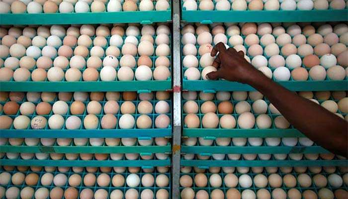 Bakery owners urge Govt. to maintain egg imports amid ad-hoc price surge