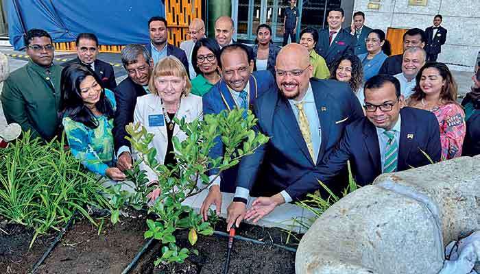 Rotary Sri Lanka and Maldives marks World Environment Day 2026