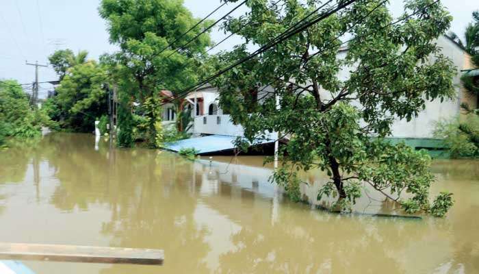 Telecom networks: Resilience or building back better?