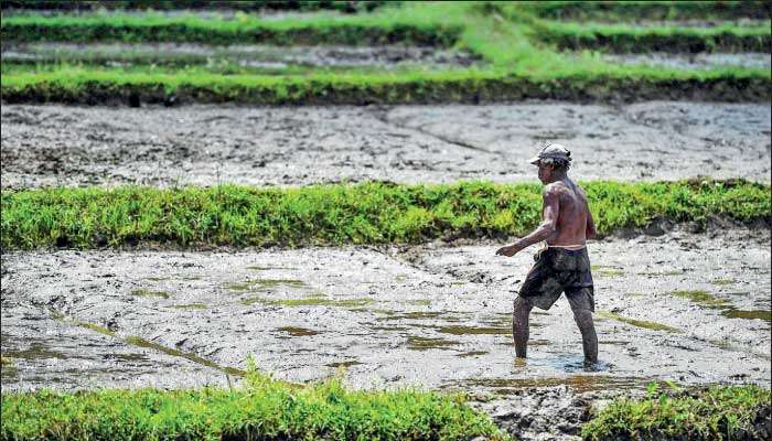 Environmental Impact Quotient of pesticides: Catalyst for sustainable agricultural futures