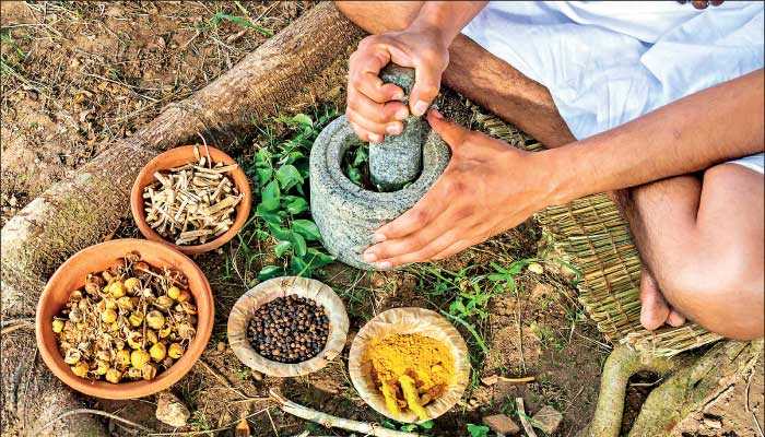 economic-revival-ayurveda-and-indigenous-medicine-daily-ft