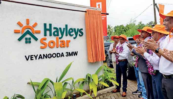 Hayleys Solar commissions 3MW Veyangoda Ground-Mounted Solar Project