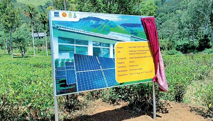Hayleys pioneers transparent solar power systems in Sri Lanka to revolutionise agriculture