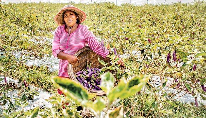 Beyond a seat at the table: Let women farmers set Sri Lanka’s rural agenda