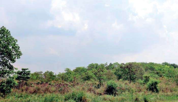 The Meethotamulla judgment and what it really means: community voices from 2018