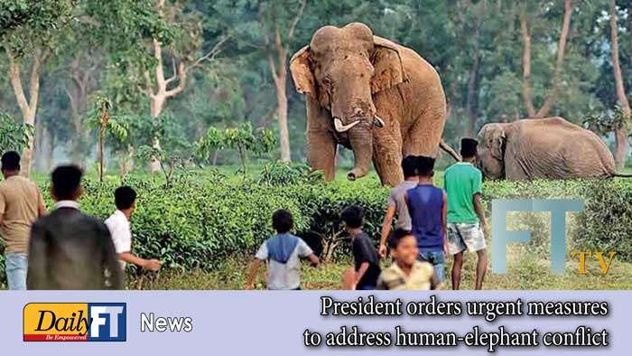 President orders urgent measures to address human-elephant conflict