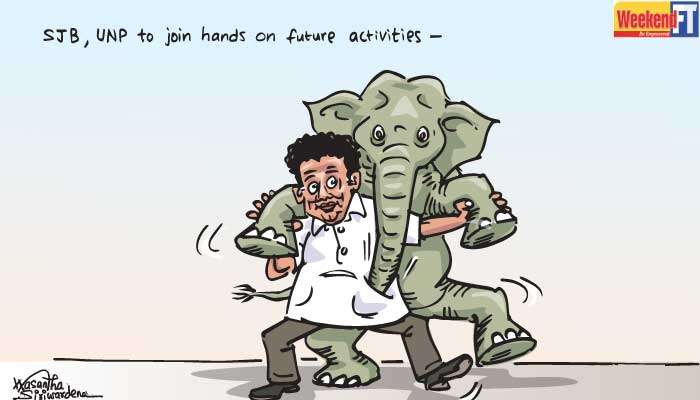 Cartoon 11.10.2025