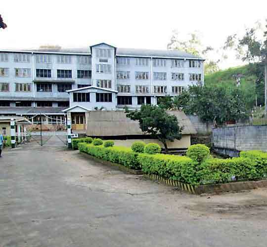 Planters call for ‘fair’ electricity tariffs to sustain industry