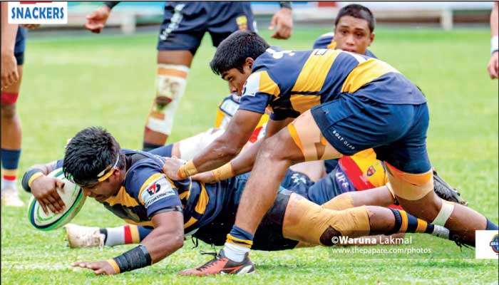 Lions shed their Manes to sport Cubs Rugby