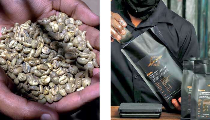Ground Theory puts Sri Lankan coffee in the spotlight