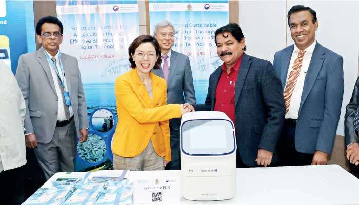 Boost for smart and sustainable shrimp aquaculture with FAO and Republic of Korea support