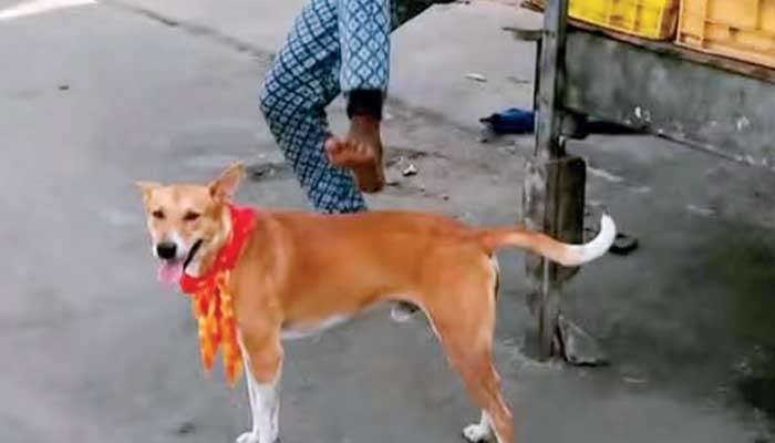 Cost of online vigilantism: Tragic tale  of vendor, dog Supramaniam and Anojan