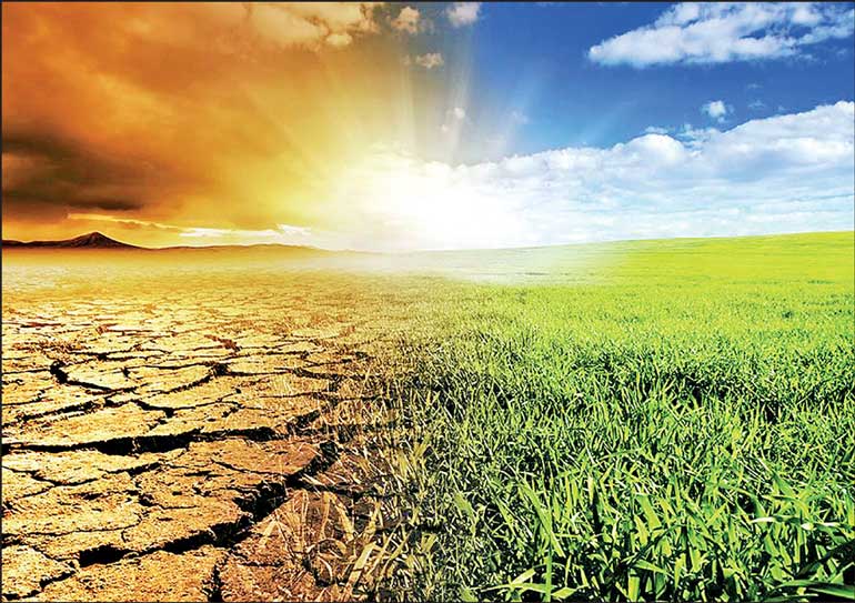 climate change in sri lanka essay
