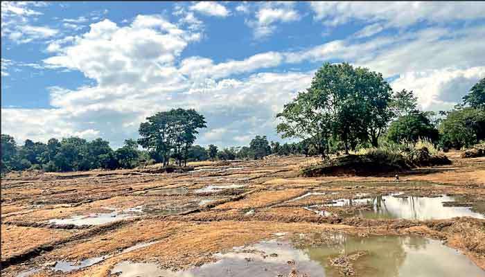 Placing smallholder farmers and fishers at the centre of Cyclone Ditwah recovery