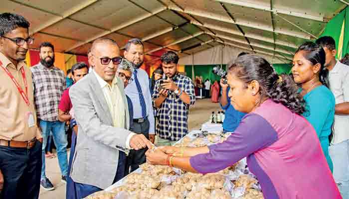 Celebrating cultural diversity at Independence Arcade
